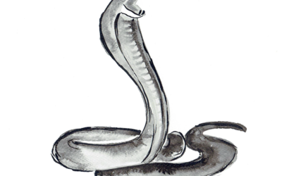 Moje ilustracje Chińskiego Zodiaku na blogu Feng Shui!